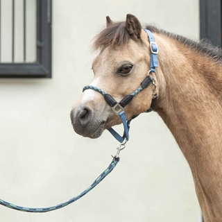 Cabezada cuadra nudos HKM Nele color azul humo - Imagen 2