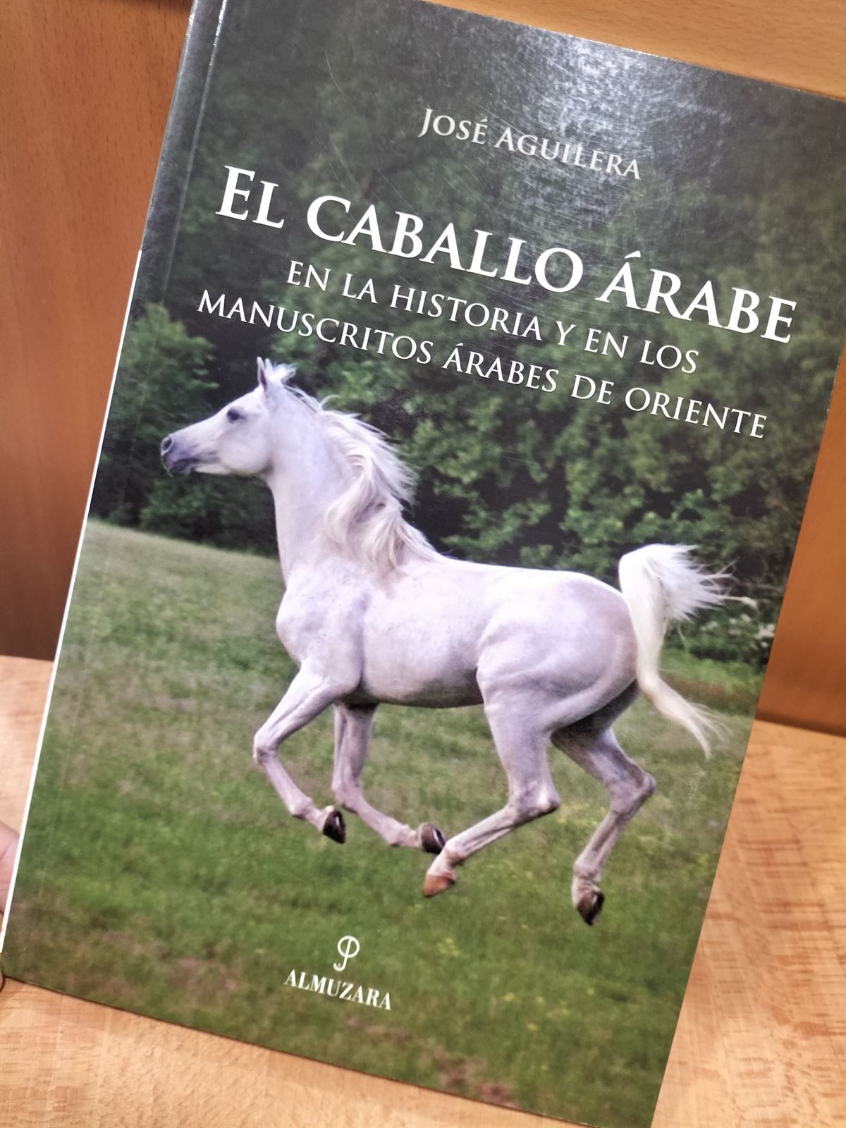 LIBRO: El caballo árabe. En la historia y en los manuscritos árabes de oriente. - Imagen 1