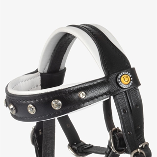 PONY BUDDY EQUESTRO cabezada de montar con riendas y filete - Imagen 2